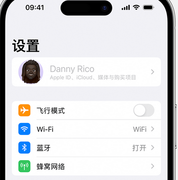 龙岗appleID维修服务iPhone设置中Apple ID显示为灰色无法使用