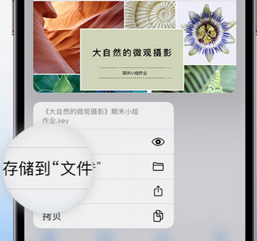 龙岗apple维修中心分享iPhone文件应用中存储和找到下载文件