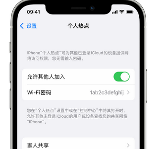 龙岗apple服务站点分享iPhone上个人热点丢失了怎么办 