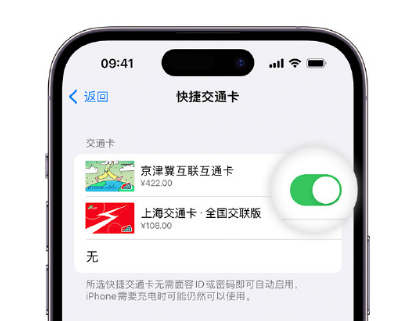 龙岗apple维修点分享iPhone上更换Apple Pay快捷交通卡手绘卡面 