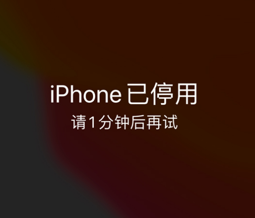 龙岗苹果手机维修分享:iPhone 显示“不可用”或“已停用”怎么办？还能保留数据吗？ 