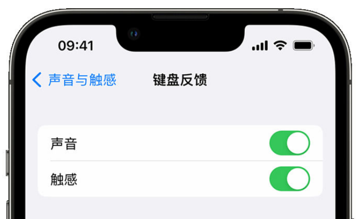 龙岗苹果手机维修分享iPhone 14触感键盘使用方法 