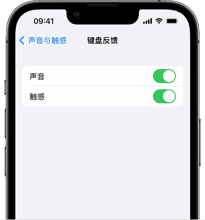 龙岗苹果14维修店分享如何在 iPhone 14 机型中使用触感键盘 