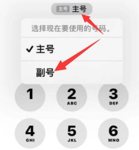 龙岗苹果14维修店分享iPhone 14 Pro Max使用副卡打电话的方法 