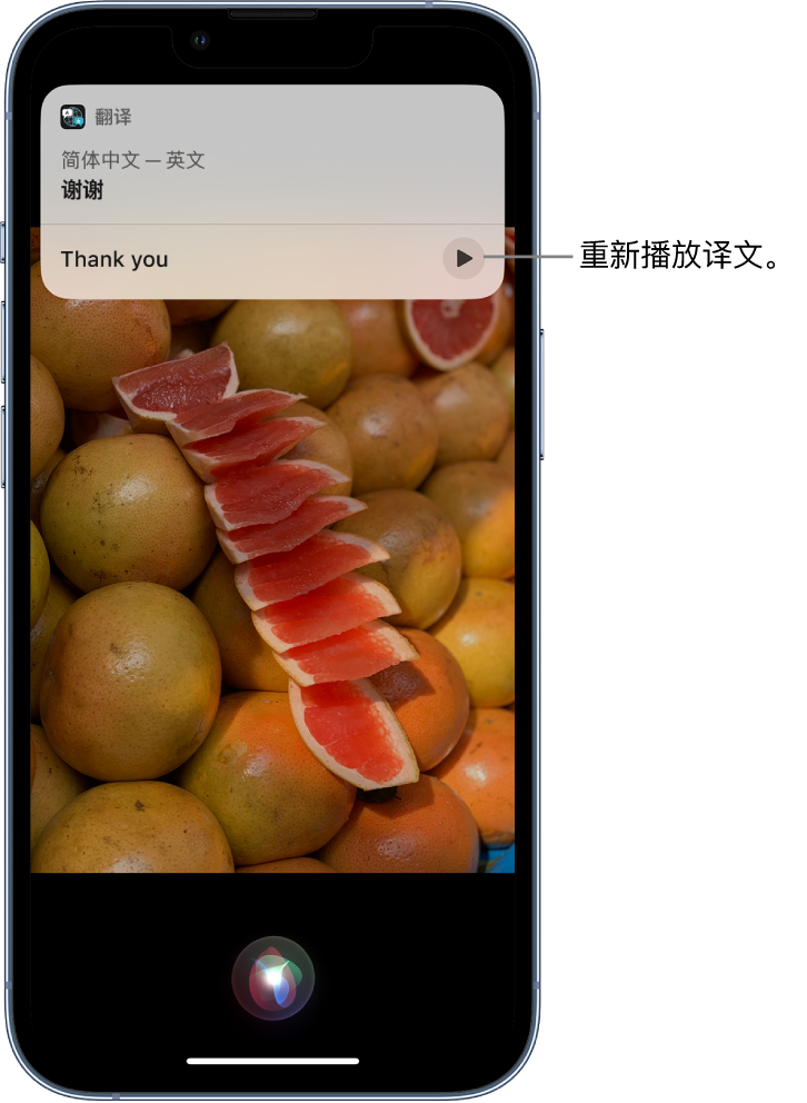 龙岗苹果14维修分享 iPhone 14 机型中使用 Siri：了解 Siri 能帮你做什么 