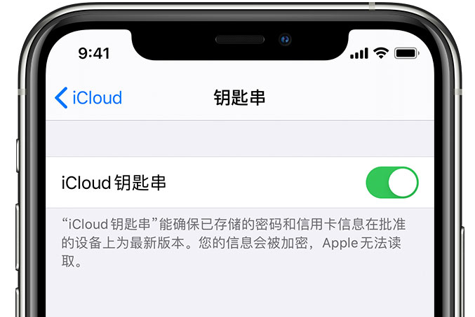 龙岗苹果手机维修分享在 iPhone 上开启 iCloud 钥匙串之后会储存哪些信息 