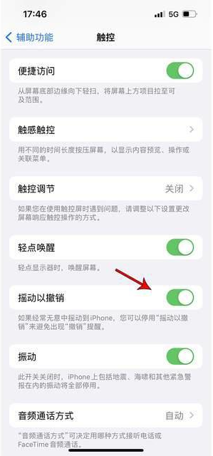 龙岗苹果手机维修分享iPhone手机如何设置摇一摇删除文字 