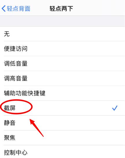 龙岗苹果手机维修分享iPhone12如何启用双击截屏 